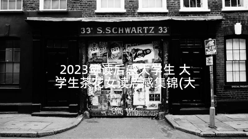 2023年读后感大学生 大学生茶花女读后感集锦(大全5篇)