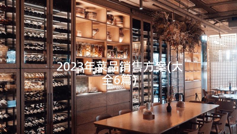2023年菜品销售方案(大全6篇)