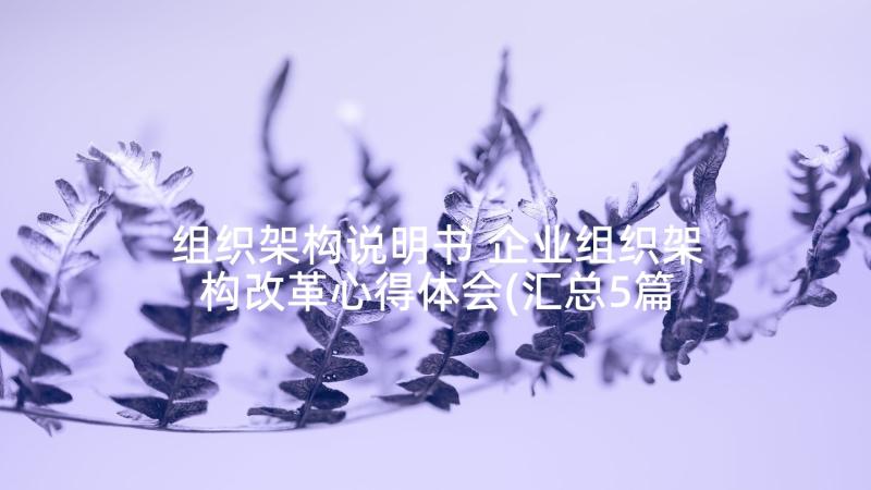 组织架构说明书 企业组织架构改革心得体会(汇总5篇)