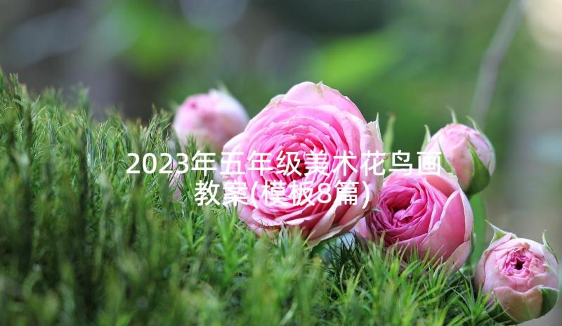 2023年五年级美术花鸟画教案(模板8篇)