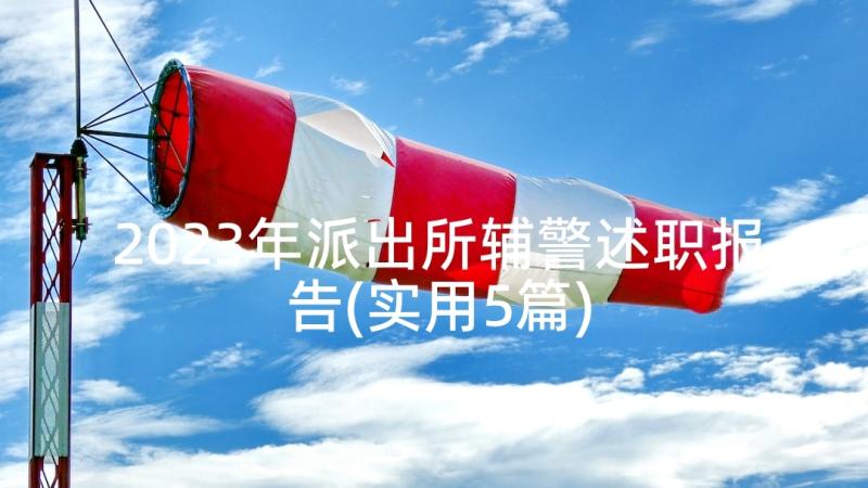 2023年派出所辅警述职报告(实用5篇)