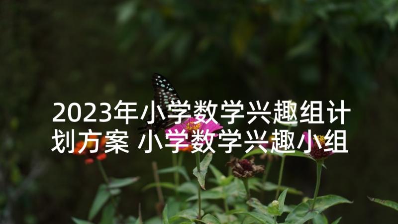 2023年小学数学兴趣组计划方案 小学数学兴趣小组活动计划(实用5篇)