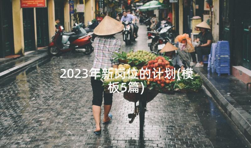 2023年新岗位的计划(模板5篇)