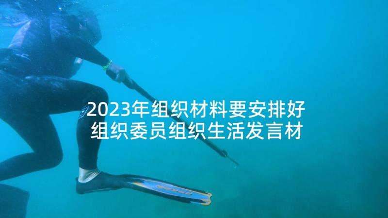 2023年组织材料要安排好 组织委员组织生活发言材料(汇总5篇)