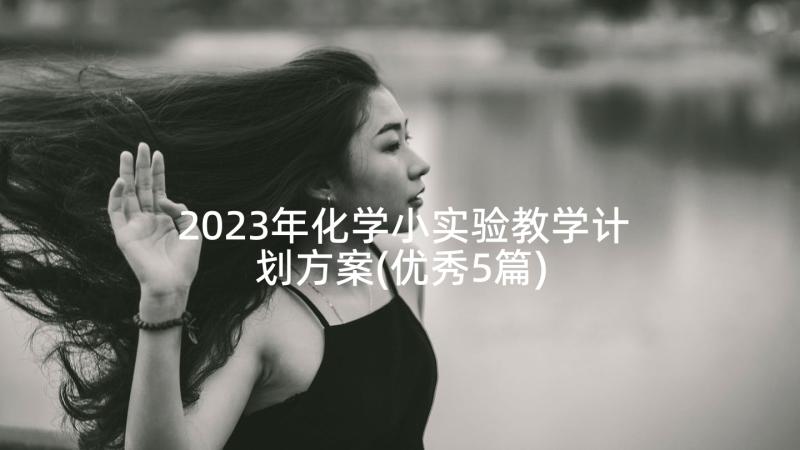 2023年化学小实验教学计划方案(优秀5篇)