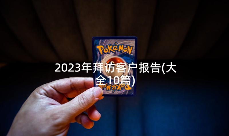 2023年拜访客户报告(大全10篇)