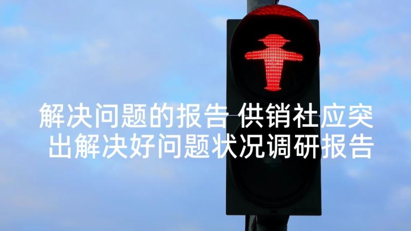 解决问题的报告 供销社应突出解决好问题状况调研报告(精选5篇)