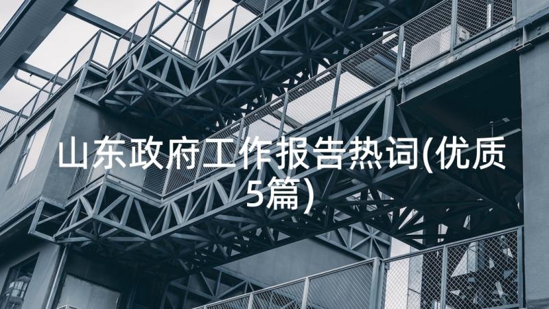 山东政府工作报告热词(优质5篇)