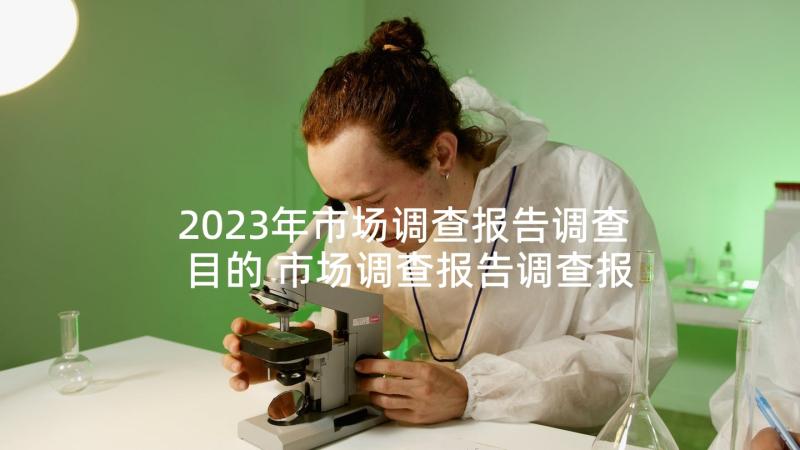 2023年市场调查报告调查目的 市场调查报告调查报告(大全6篇)