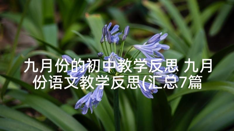 九月份的初中教学反思 九月份语文教学反思(汇总7篇)