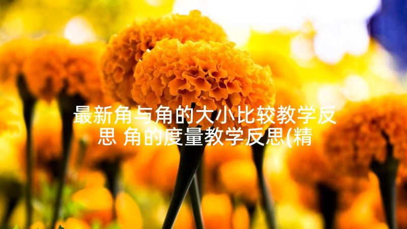 最新角与角的大小比较教学反思 角的度量教学反思(精选9篇)