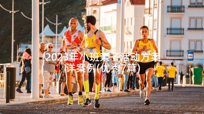 2023年小班亲子活动方案详案例(优秀7篇)