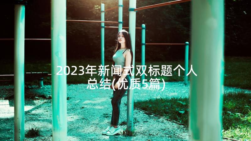 2023年新闻式双标题个人总结(优质5篇)