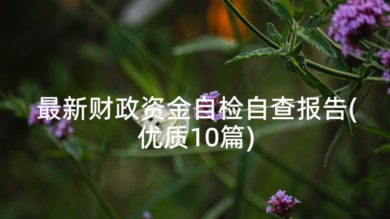 最新财政资金自检自查报告(优质10篇)