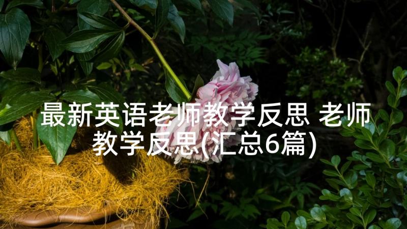 最新英语老师教学反思 老师教学反思(汇总6篇)