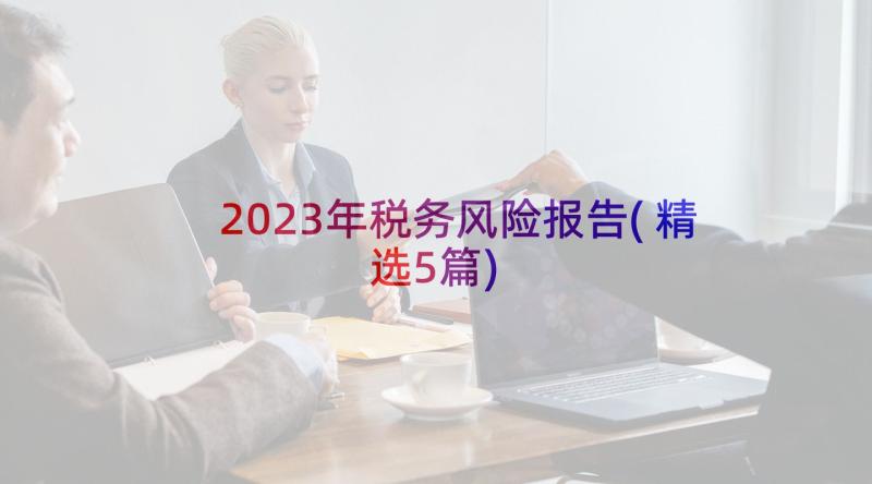 2023年税务风险报告(精选5篇)