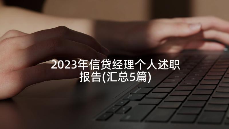 2023年信贷经理个人述职报告(汇总5篇)