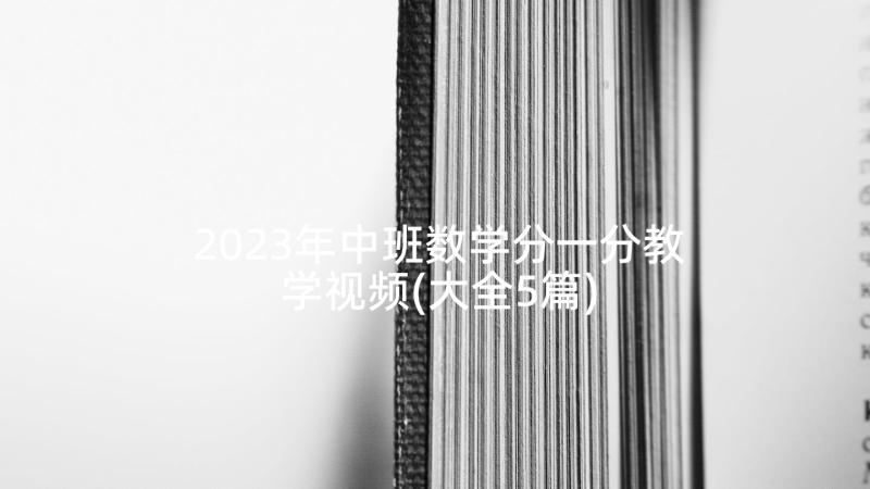 2023年中班数学分一分教学视频(大全5篇)