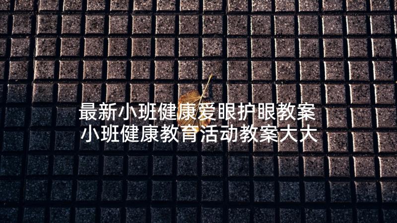 最新小班健康爱眼护眼教案 小班健康教育活动教案大大的眼睛(通用5篇)