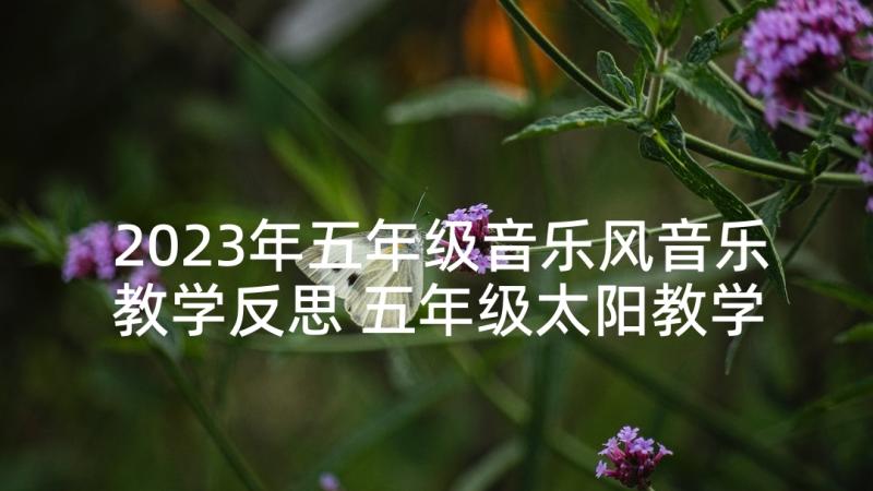 2023年五年级音乐风音乐教学反思 五年级太阳教学反思(汇总8篇)