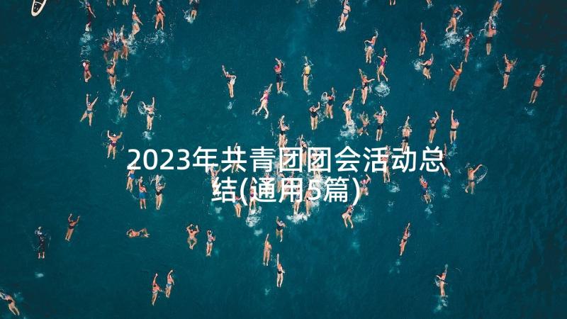 2023年共青团团会活动总结(通用5篇)