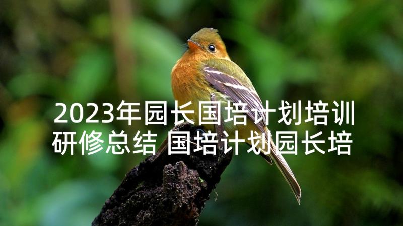 2023年园长国培计划培训研修总结 国培计划园长培训心得体会(汇总5篇)