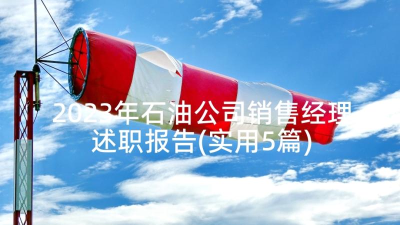 2023年石油公司销售经理述职报告(实用5篇)