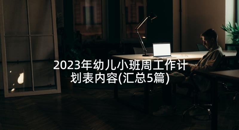 2023年幼儿小班周工作计划表内容(汇总5篇)