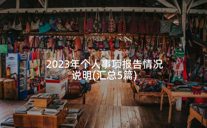 2023年个人事项报告情况说明(汇总5篇)