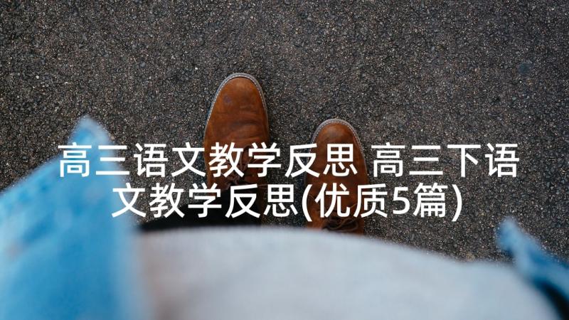 高三语文教学反思 高三下语文教学反思(优质5篇)