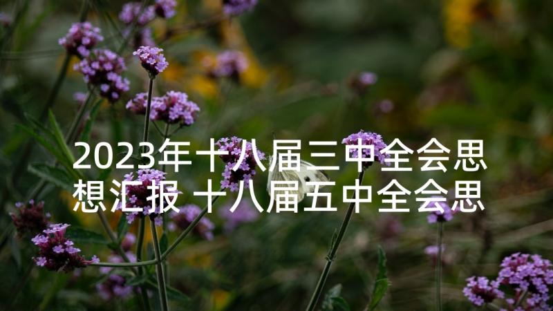 2023年十八届三中全会思想汇报 十八届五中全会思想汇报例文(模板8篇)