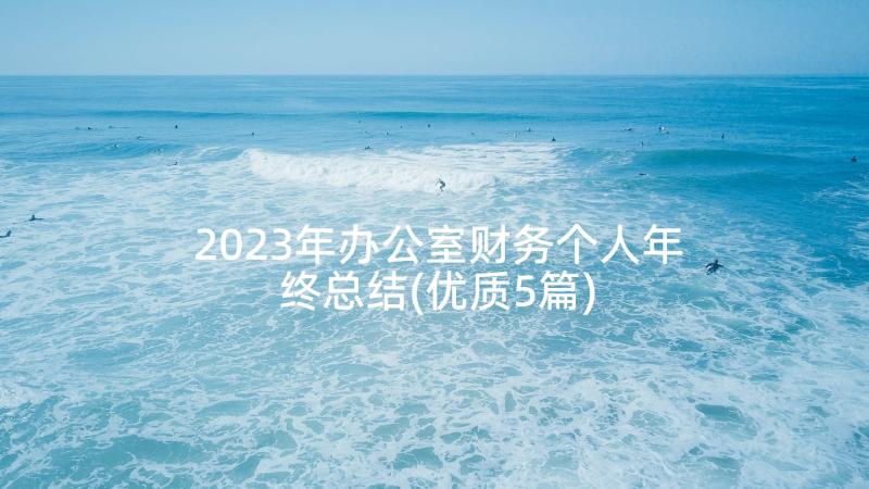 2023年办公室财务个人年终总结(优质5篇)