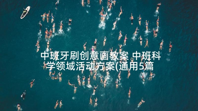 中班牙刷创意画教案 中班科学领域活动方案(通用5篇)