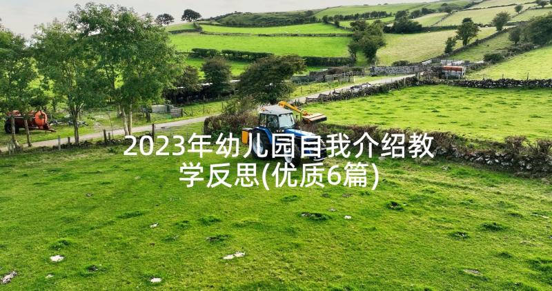 2023年幼儿园自我介绍教学反思(优质6篇)