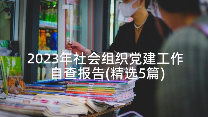 2023年社会组织党建工作自查报告(精选5篇)