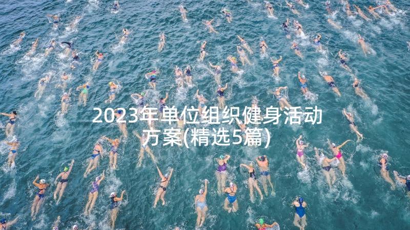 2023年单位组织健身活动方案(精选5篇)