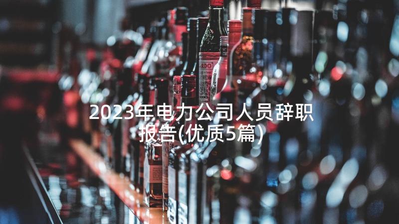 2023年电力公司人员辞职报告(优质5篇)