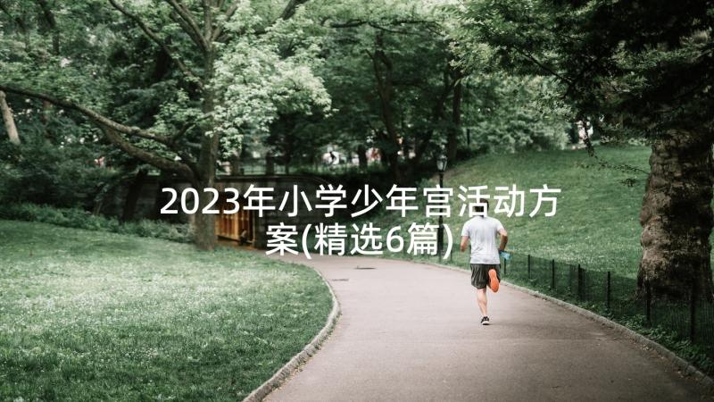 2023年小学少年宫活动方案(精选6篇)