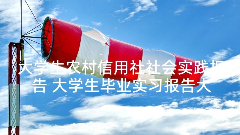 大学生农村信用社社会实践报告 大学生毕业实习报告大学生毕业实习报告(优质9篇)