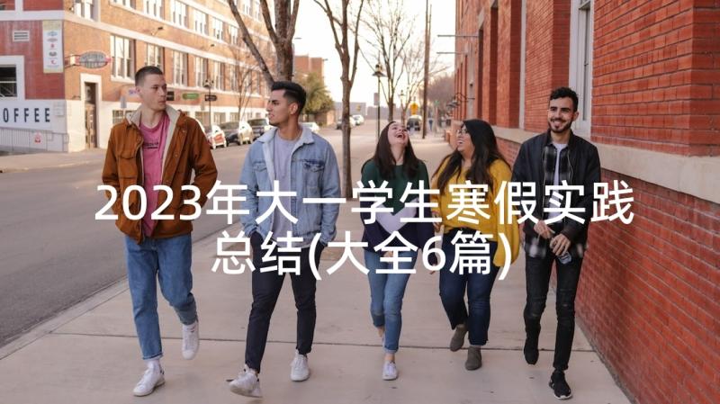 2023年大一学生寒假实践总结(大全6篇)