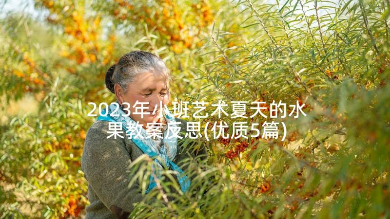 2023年小班艺术夏天的水果教案反思(优质5篇)