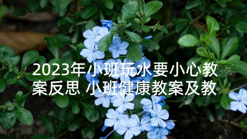 2023年小班玩水要小心教案反思 小班健康教案及教学反思洗澡真舒服(汇总8篇)