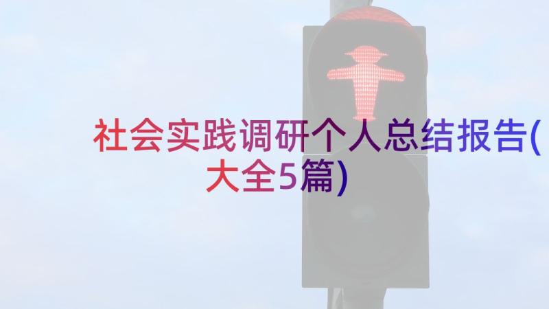 社会实践调研个人总结报告(大全5篇)