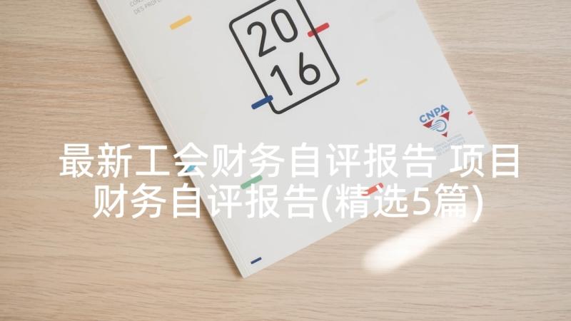 最新工会财务自评报告 项目财务自评报告(精选5篇)