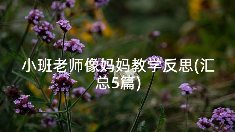 小班老师像妈妈教学反思(汇总5篇)