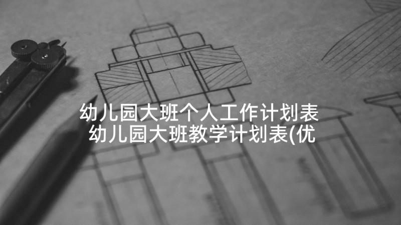 幼儿园大班个人工作计划表 幼儿园大班教学计划表(优秀5篇)