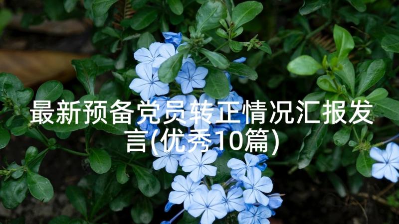 最新预备党员转正情况汇报发言(优秀10篇)