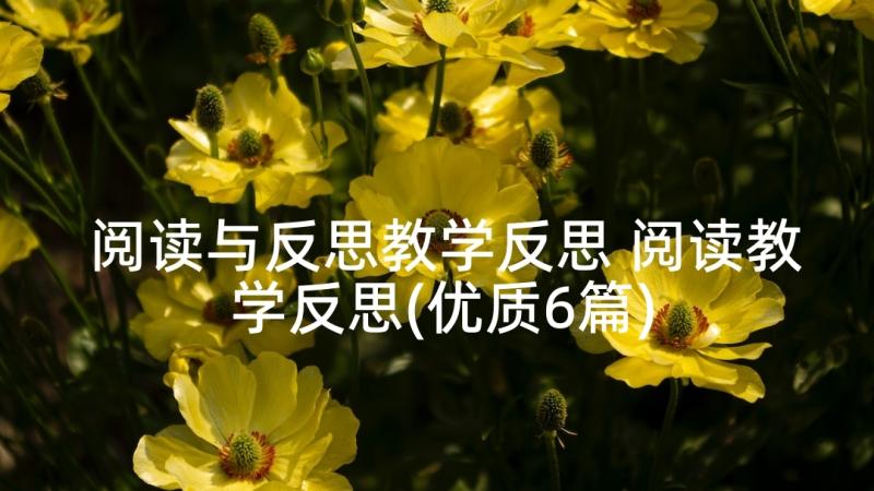 阅读与反思教学反思 阅读教学反思(优质6篇)