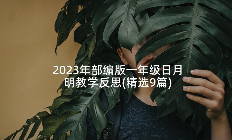 2023年部编版一年级日月明教学反思(精选9篇)