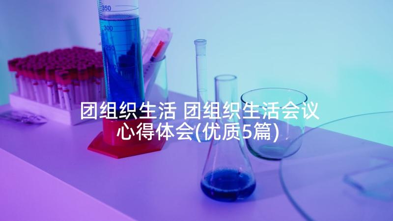 团组织生活 团组织生活会议心得体会(优质5篇)